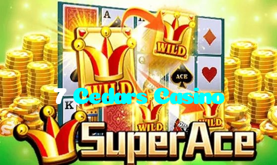 available types of 7 Cedars Casino bet including pre-match live express and system bets